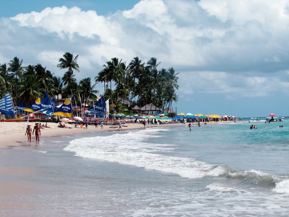 people on beach during daytime