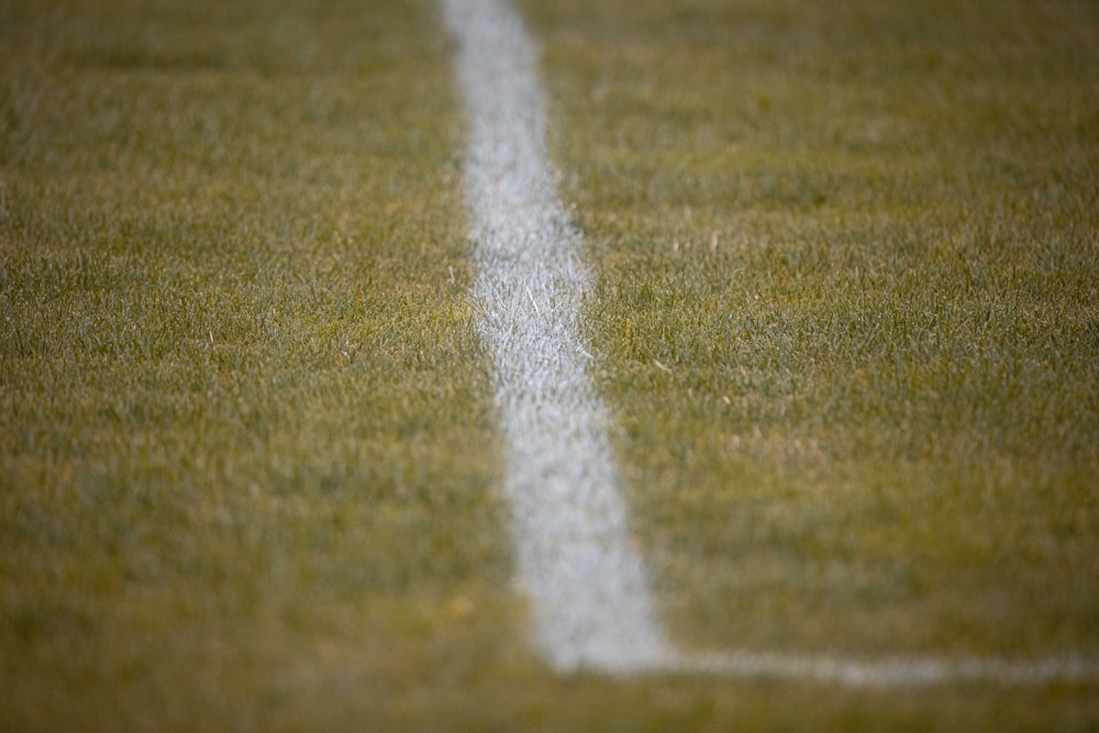 green grass field during daytime