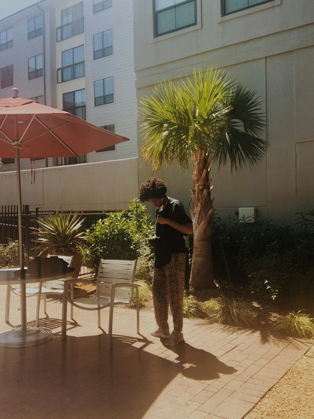 woman in black dress standing near palm tree during daytime