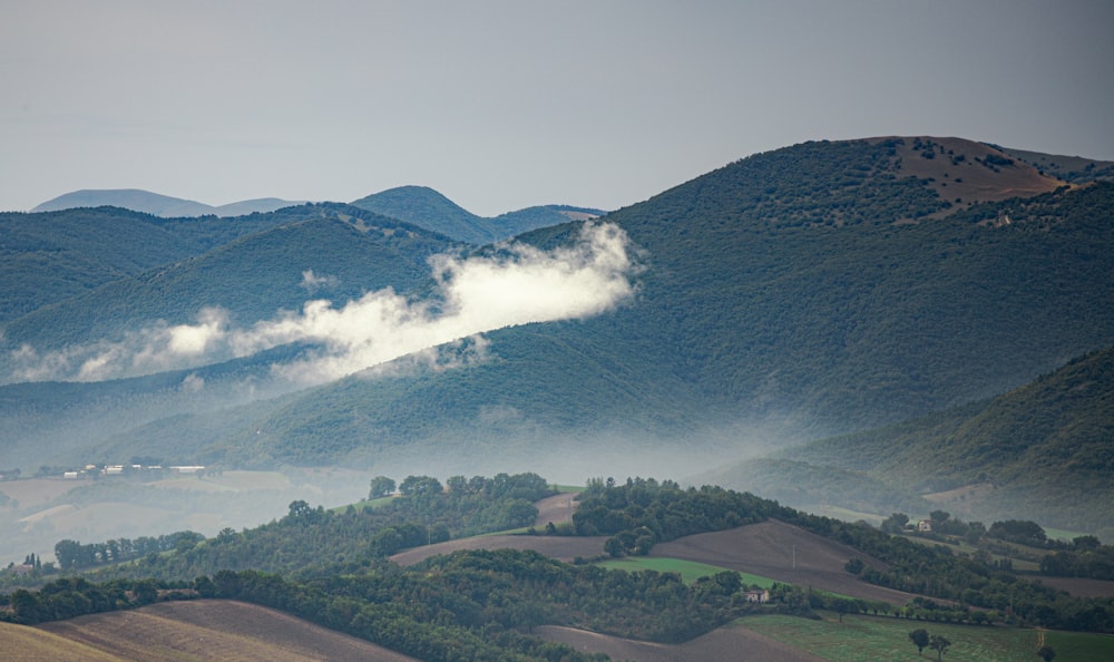 alberi verdi e montagne sotto nuvole bianche durante il giorno