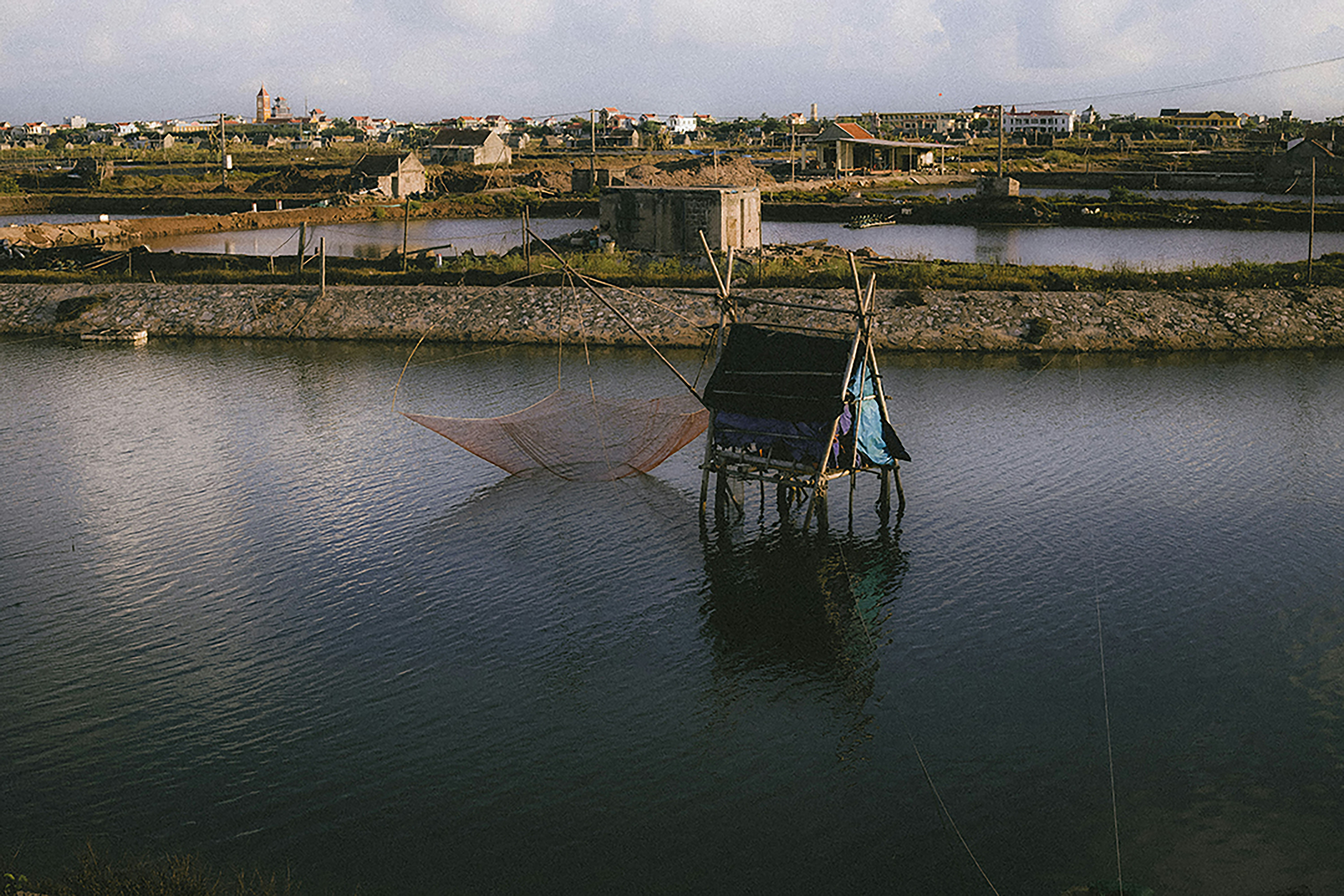 Photo by vietnambeautiful