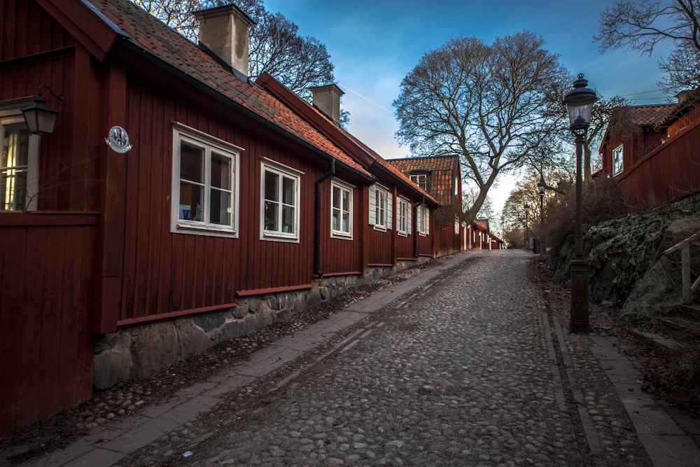 red wooden house near bare trees during daytime