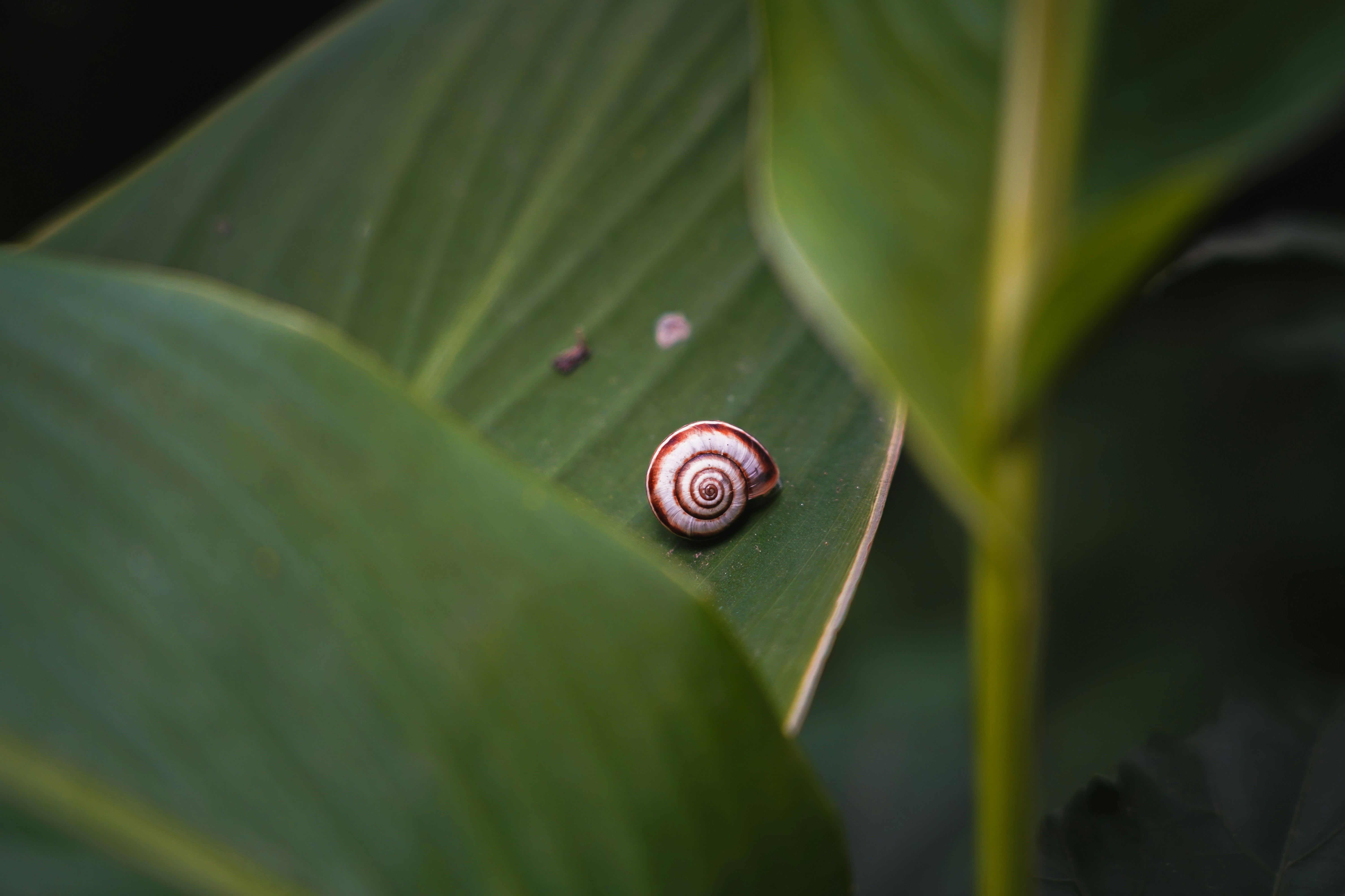 Photo by kiarash_mansouri