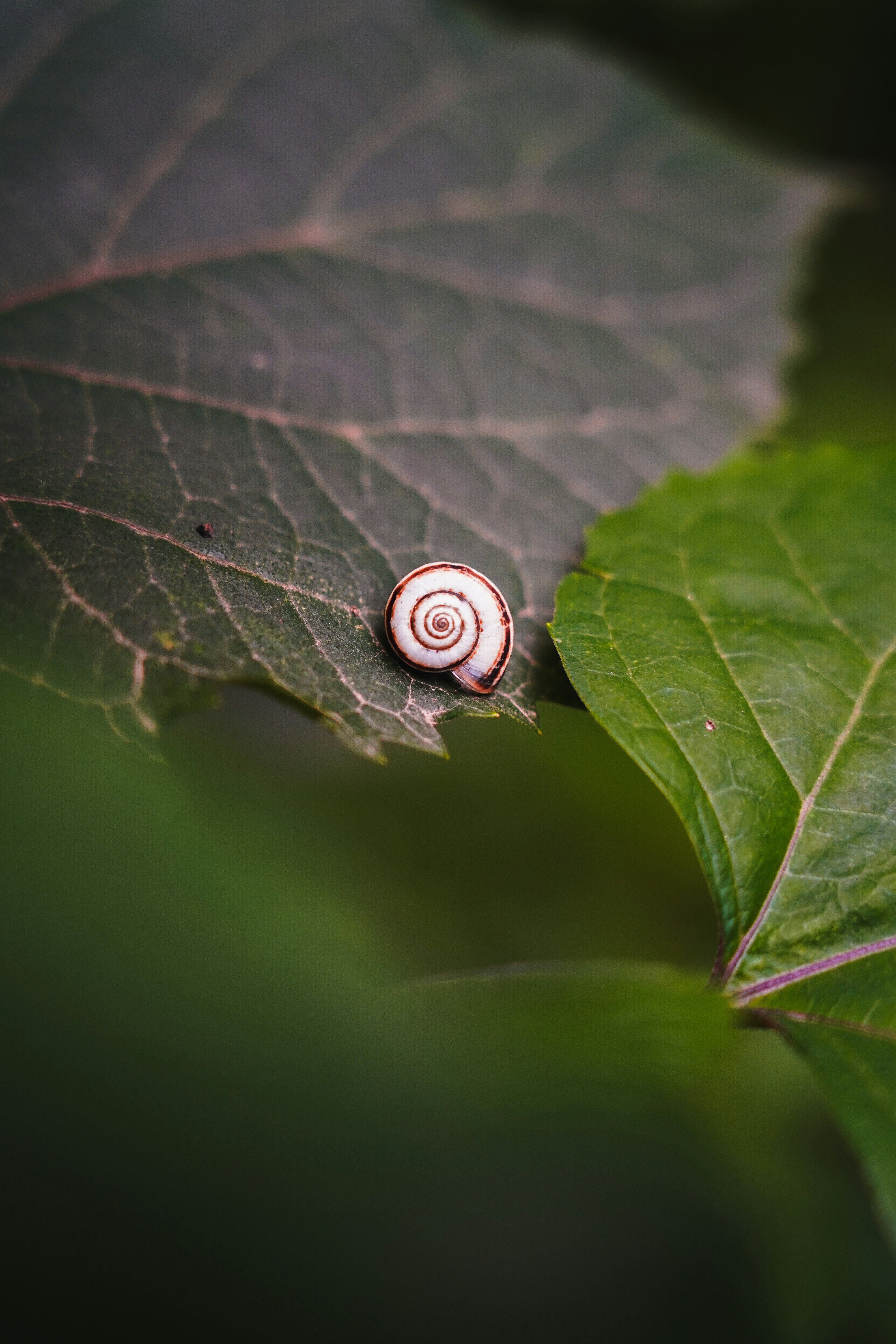 Photo by kiarash_mansouri