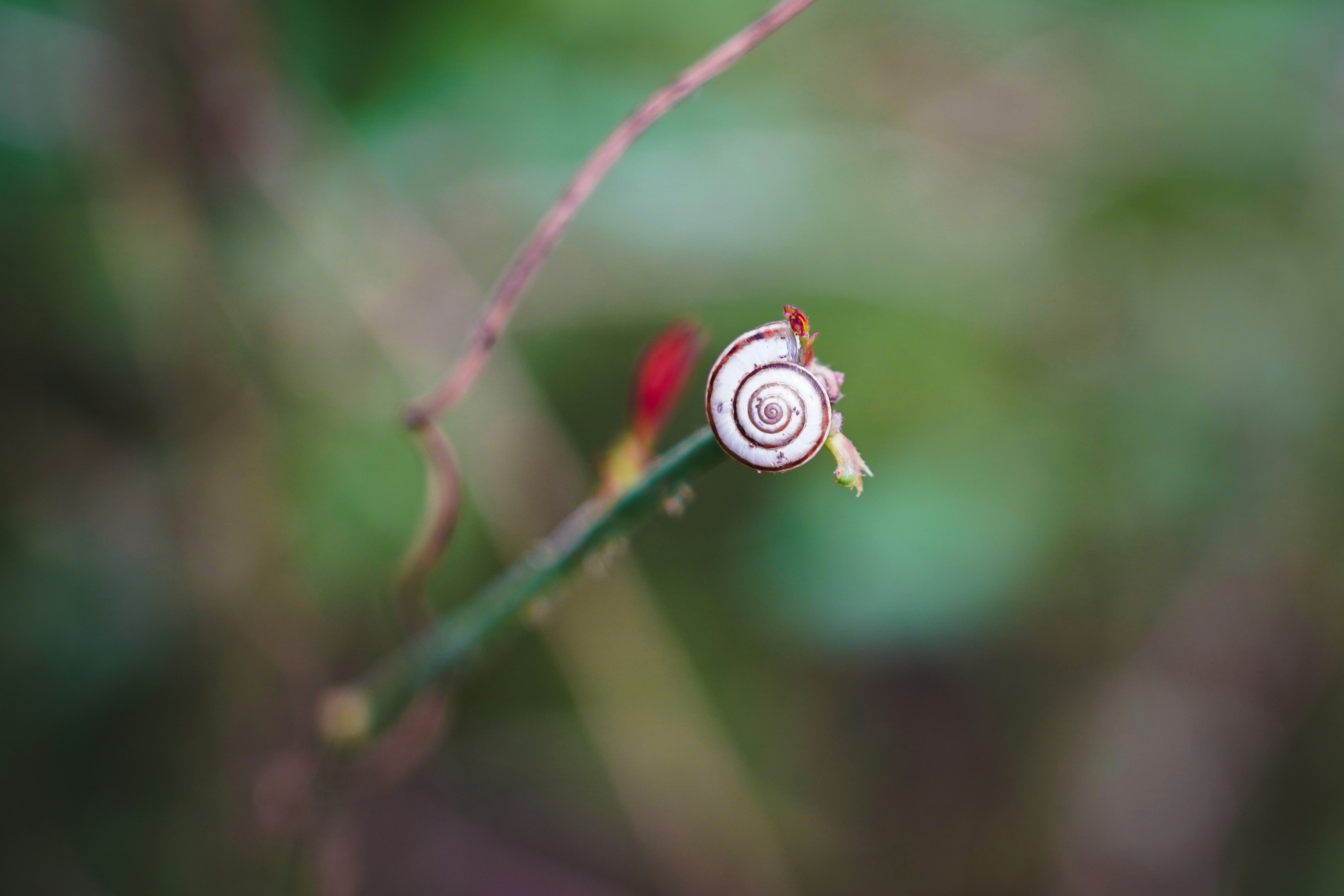 Photo by kiarash_mansouri