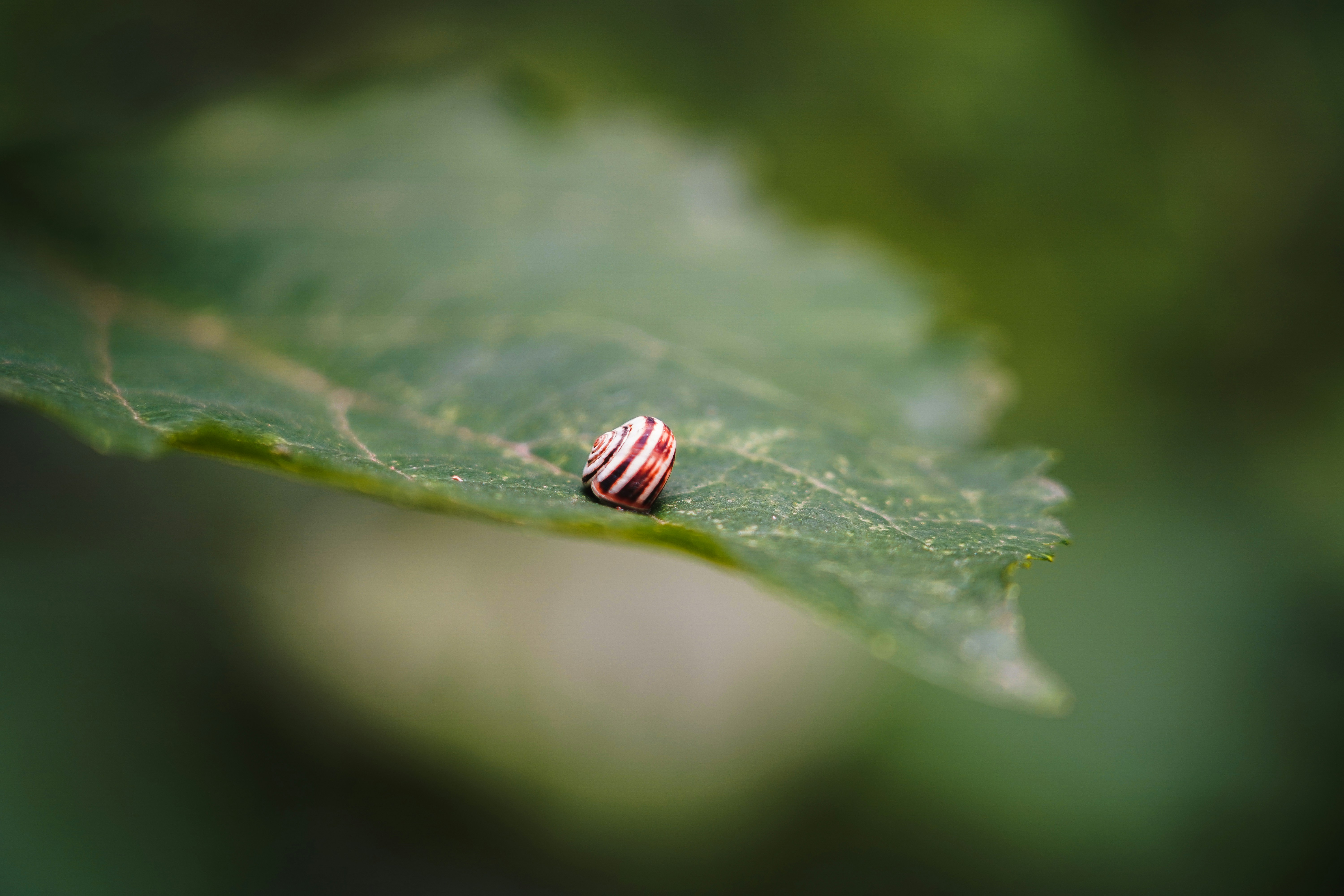 Photo by kiarash_mansouri