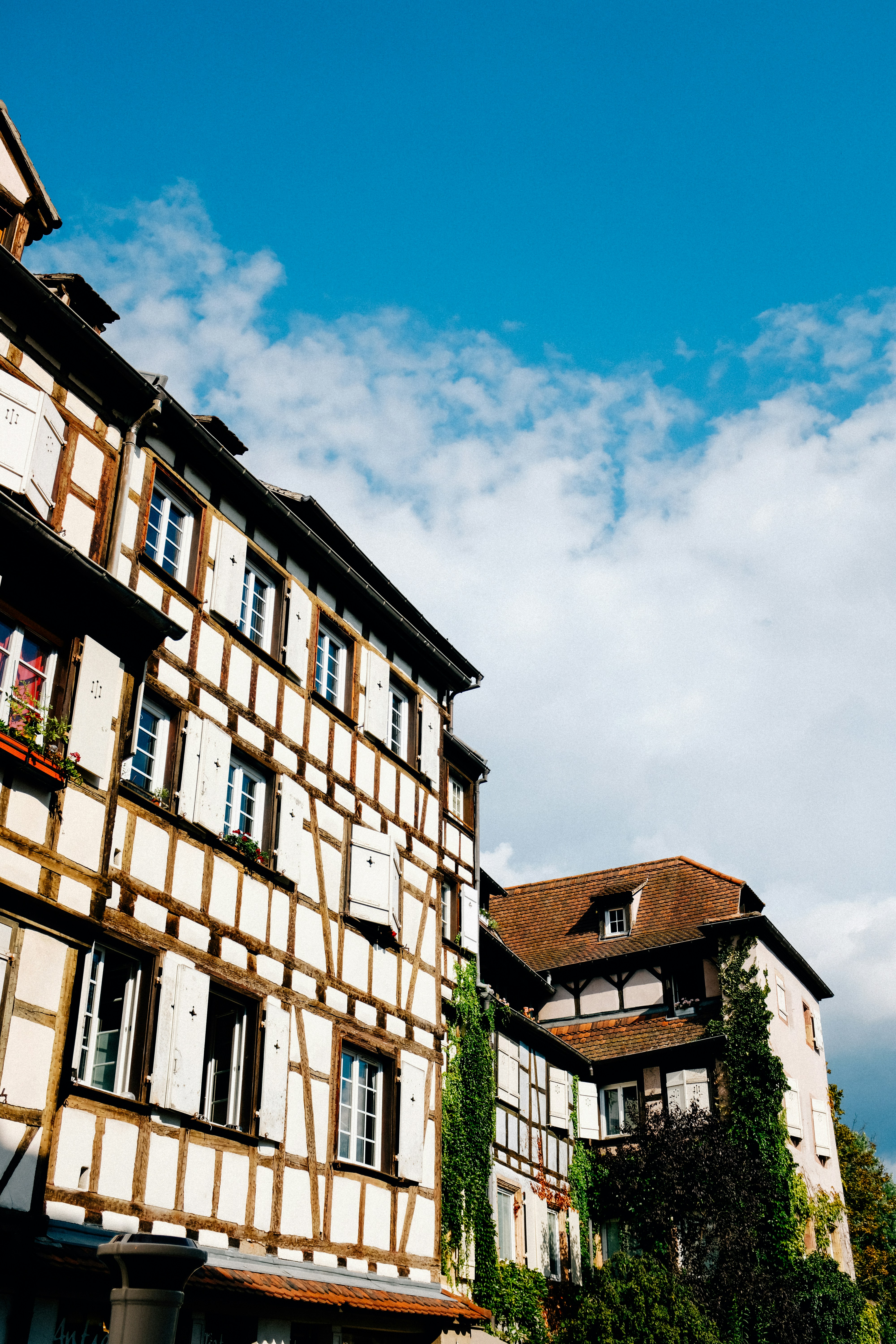 Photo by adrienolichon