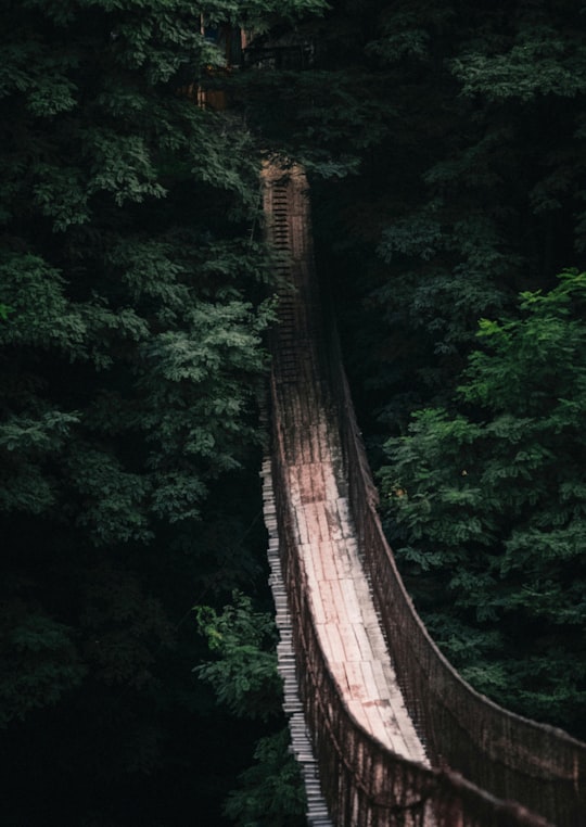 brown wooden bridge in the forest in Nehoiu Romania