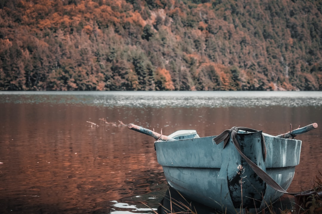 blue and white boat on lake during daytime