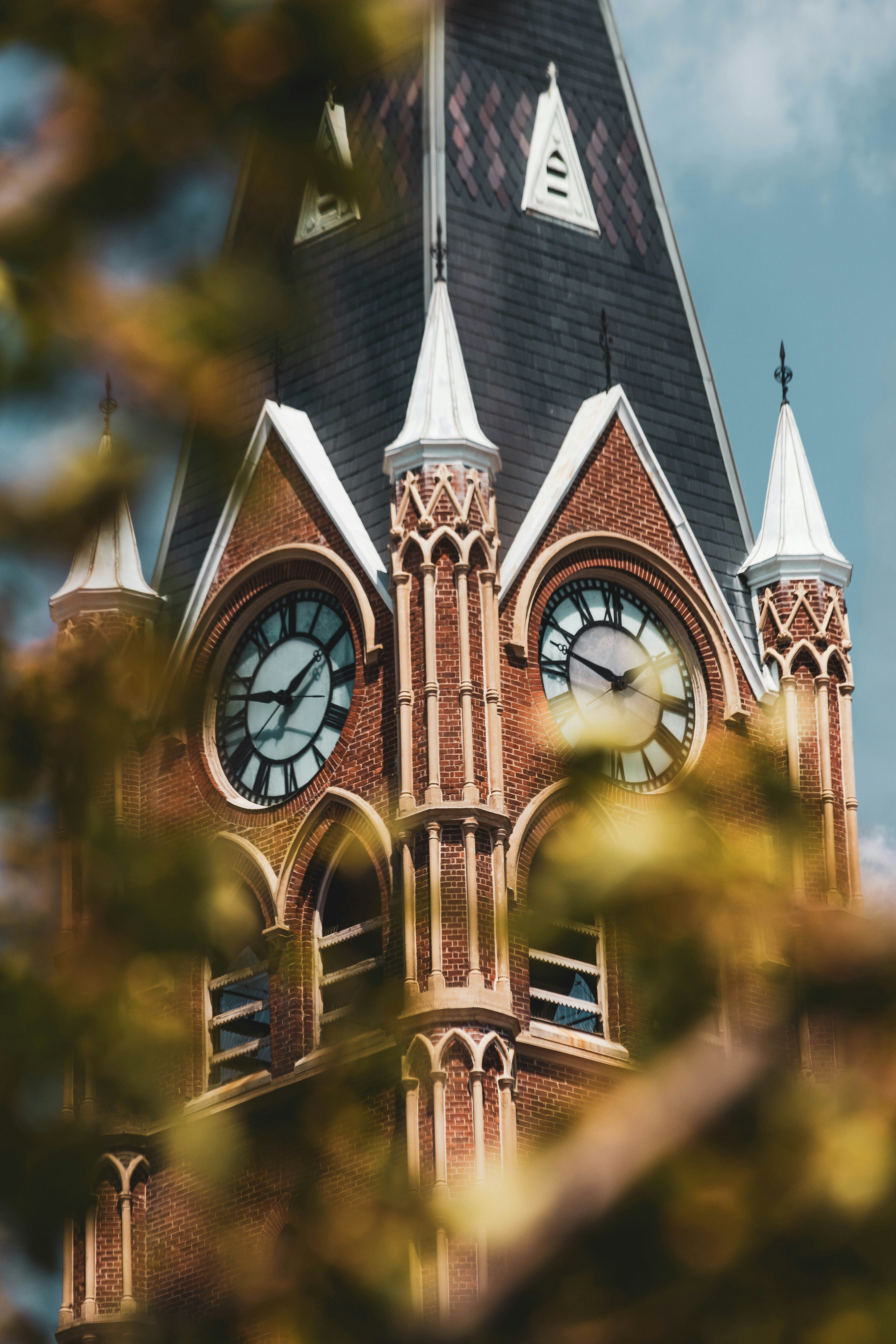 Photo by bradydrogers