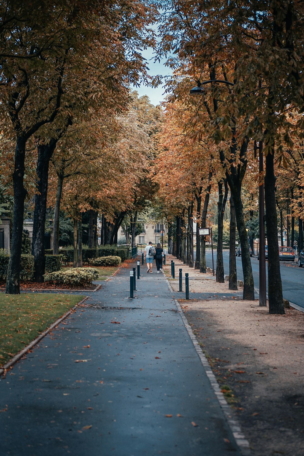 les personnes qui marchent sur le trottoir près des arbres pendant la journée ;