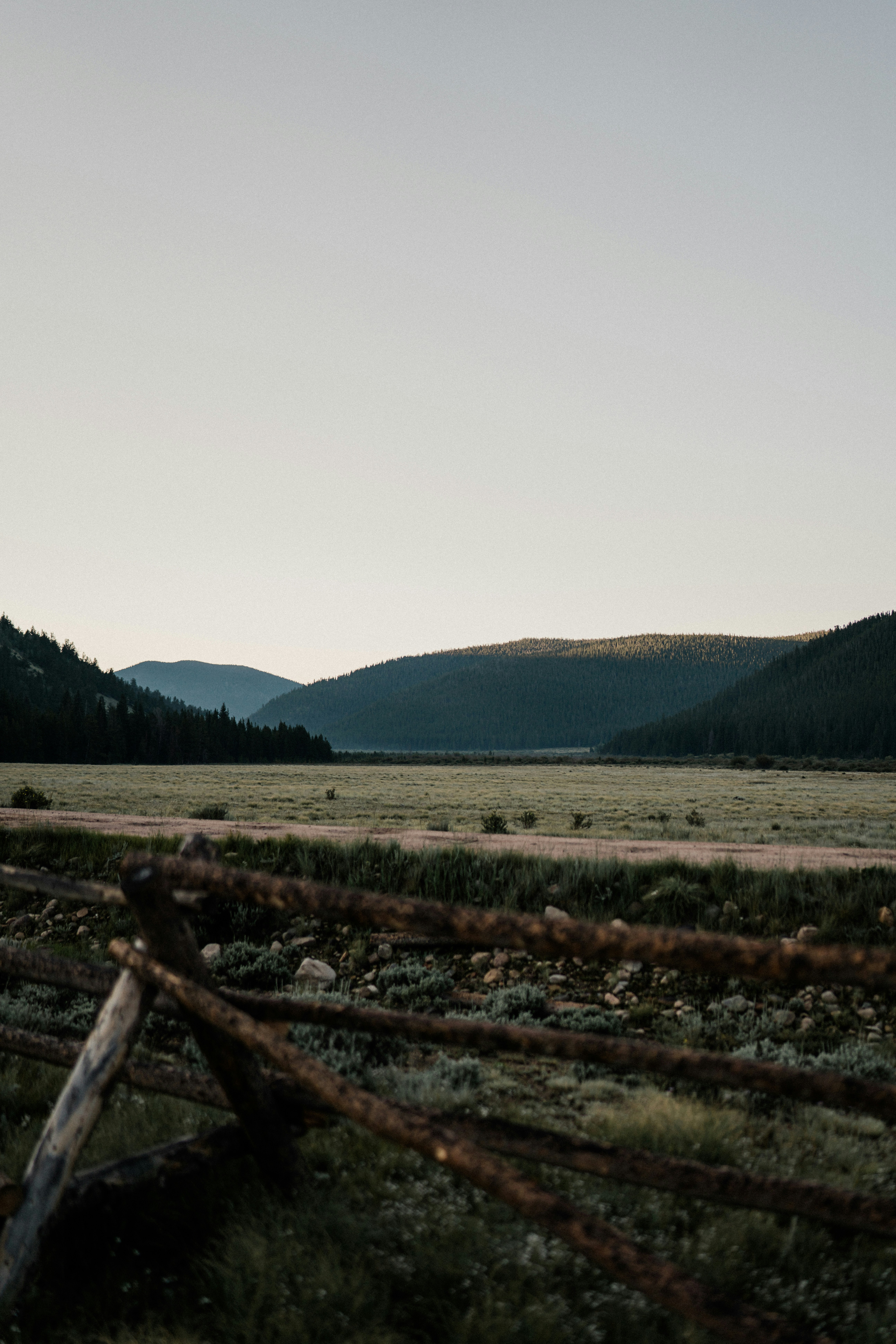 Photo by matias_north