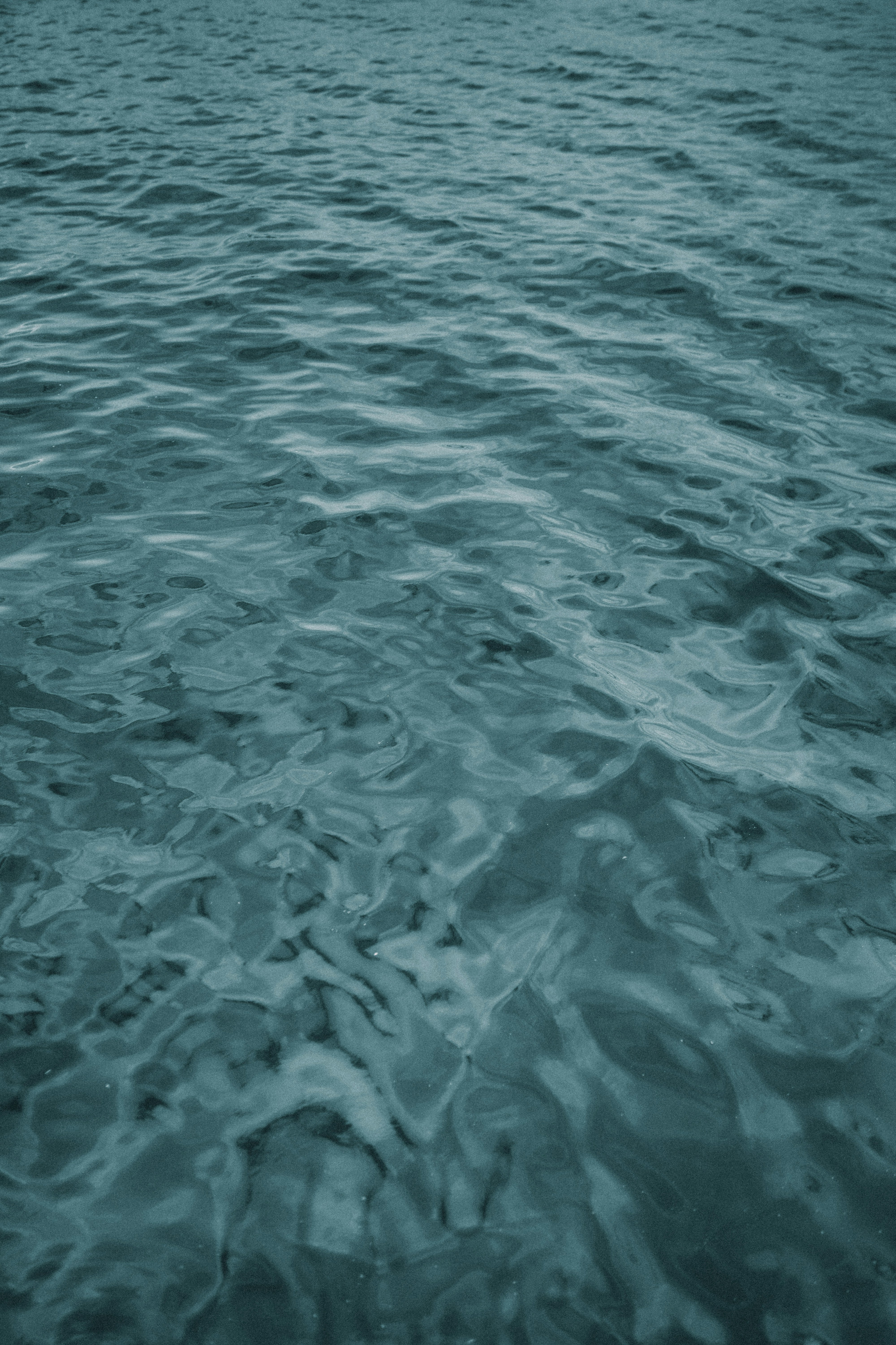 Photo by marklandmanphoto