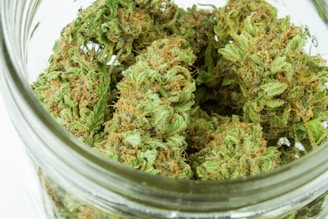 A close-up view of dried cannabis buds stored in a glass jar. The buds are dense with vibrant green leaves and orange hairs, showing visible crystals and a sticky appearance.