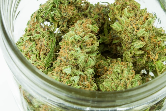 A close-up view of dried cannabis buds stored in a glass jar. The buds are dense with vibrant green leaves and orange hairs, showing visible crystals and a sticky appearance.