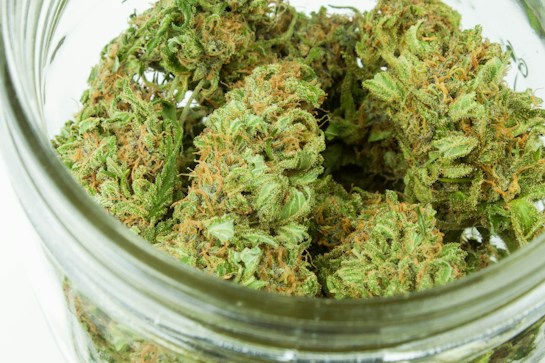 A close-up view of dried cannabis buds stored in a glass jar. The buds are dense with vibrant green leaves and orange hairs, showing visible crystals and a sticky appearance.