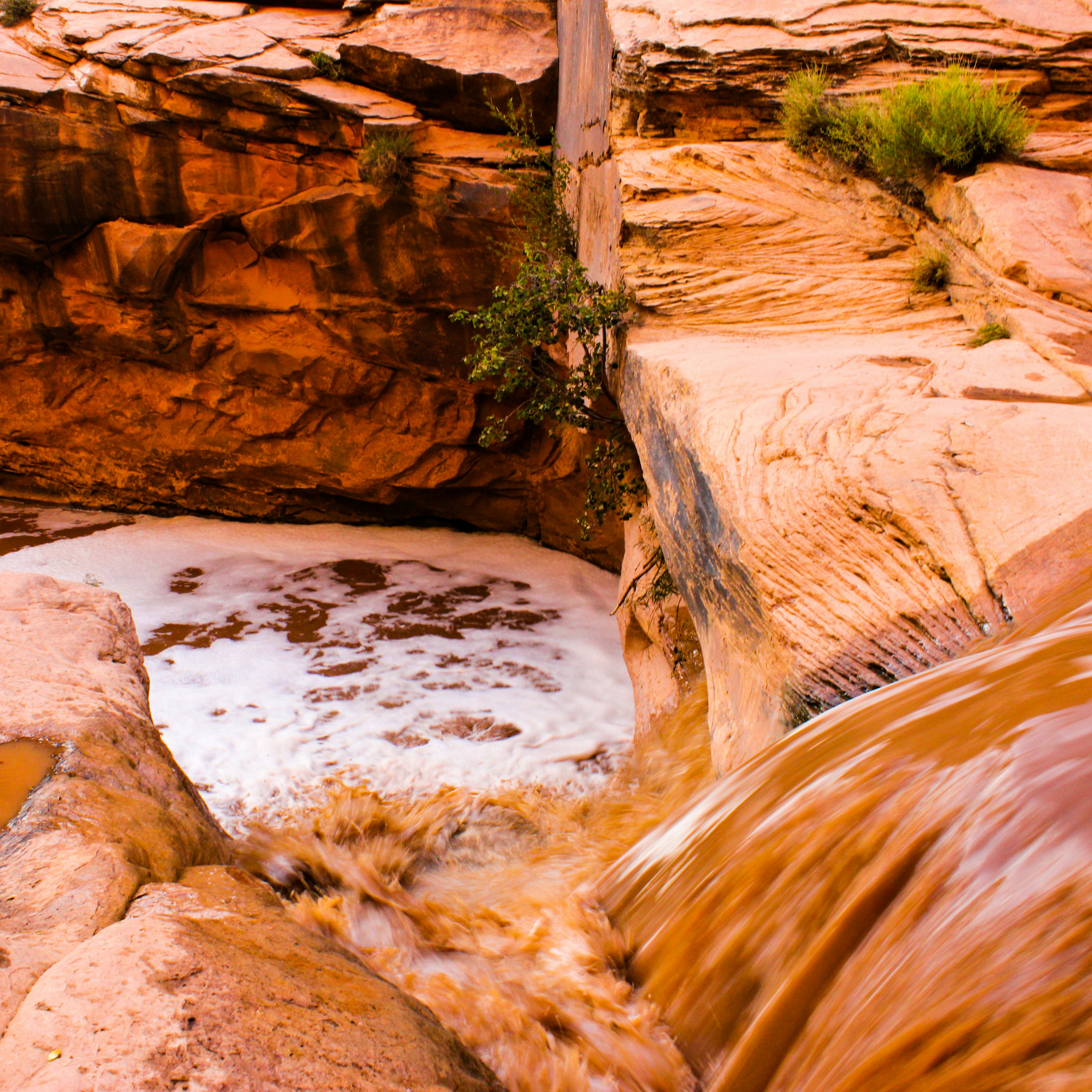 Photo by visually_jazz