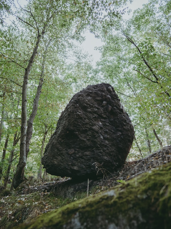 Boulder Travel Guide: Insider Tips and Local Highlights