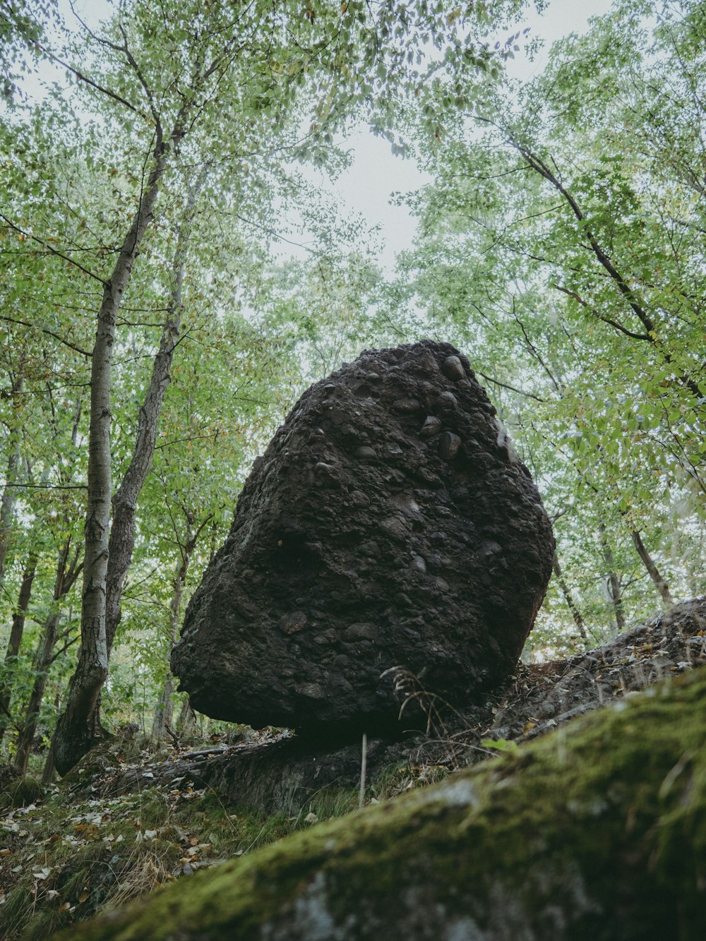 brown rock formation surrounded by green trees during daytime