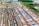 Aerial view of a large cargo terminal filled with colorful shipping containers organized in rows. Railway tracks are visible, some with train cars loaded with containers. The area is surrounded by industrial buildings and greenery.