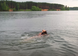 person in water during daytime