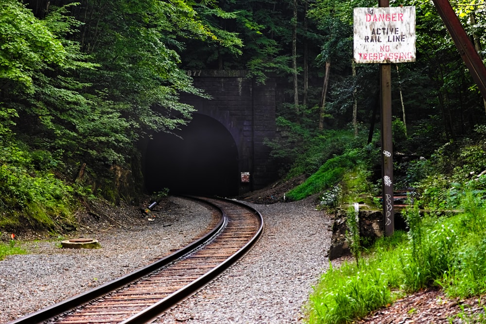 train rail in the middle of the forest