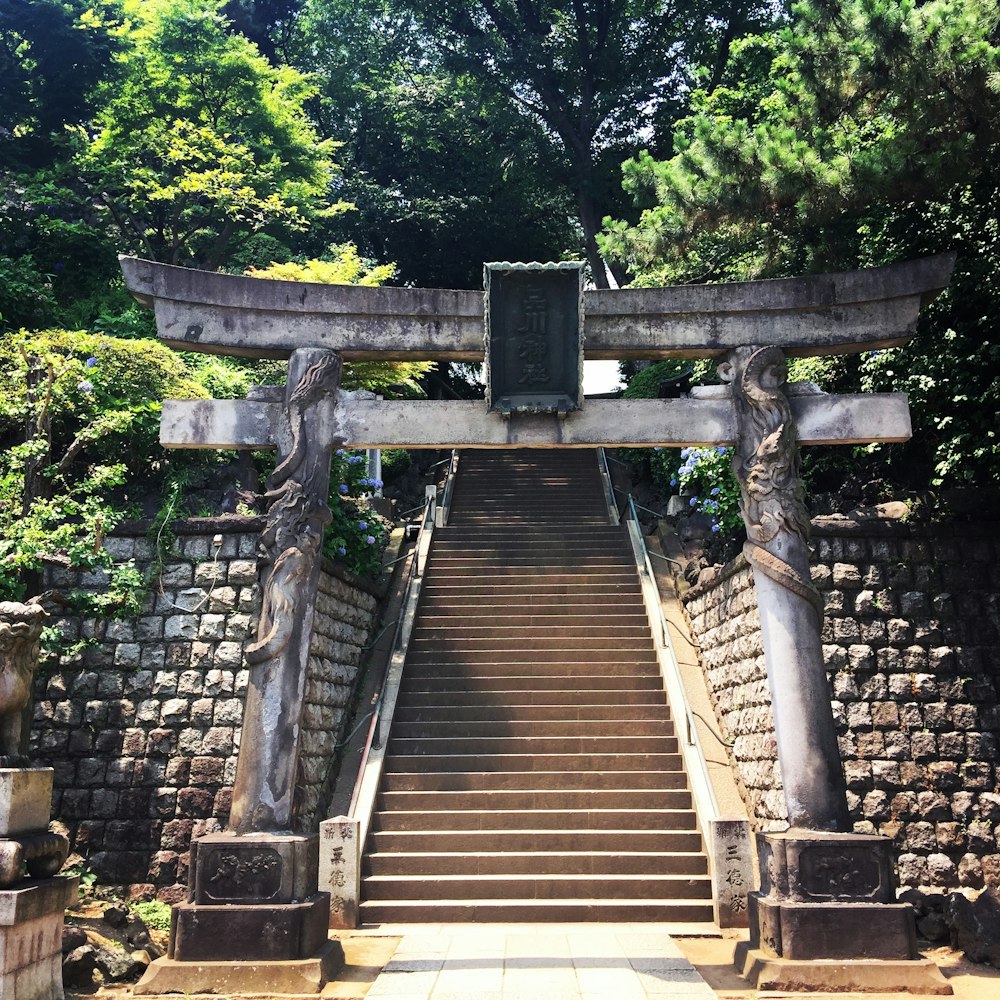 brown wooden staircase surrounded by green trees during daytime