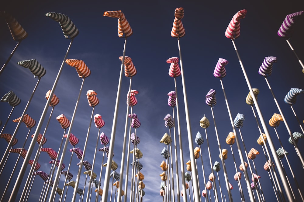 brown and white chinese lanterns