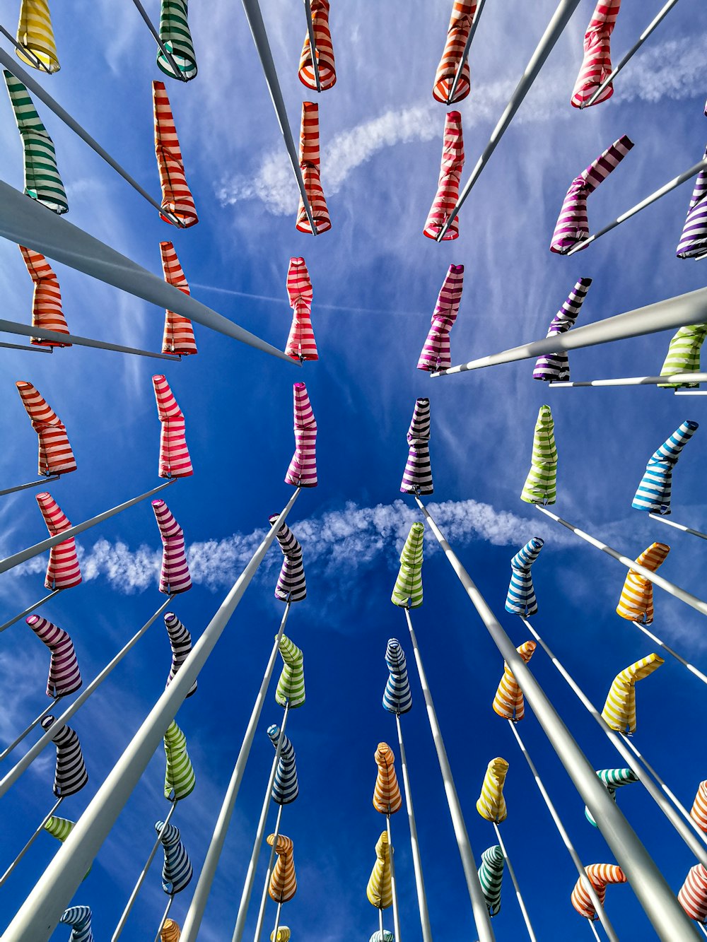 blue and red plastic clothes hangers