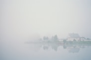 body of water near trees during foggy weather