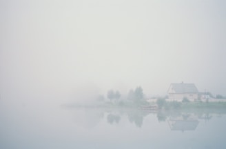 body of water near trees during foggy weather