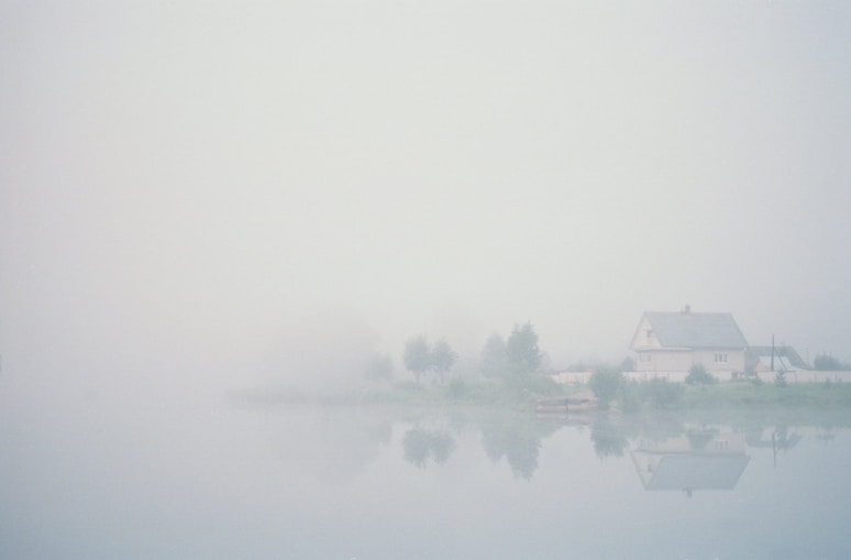 body of water near trees during foggy weather