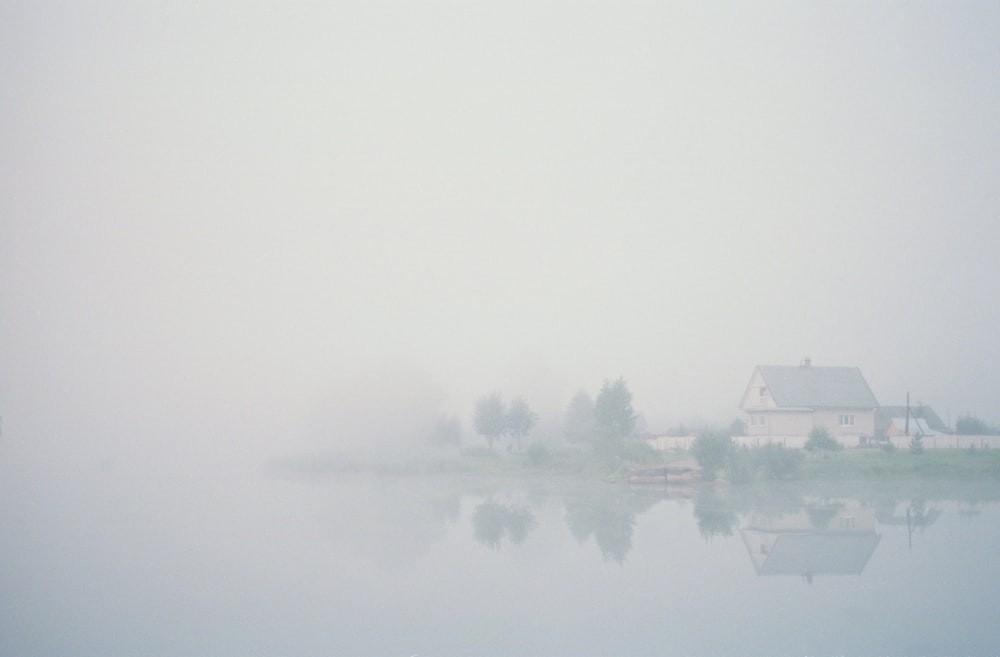 body of water near trees during foggy weather