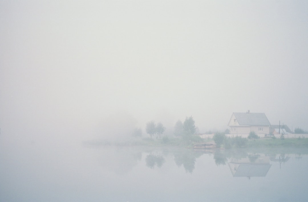 body of water near trees during foggy weather