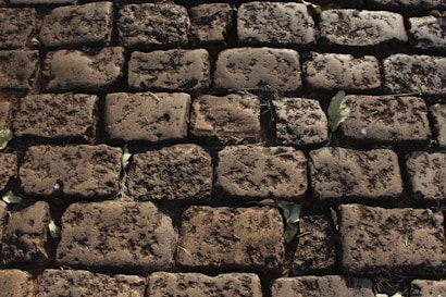 A surface made up of unevenly arranged cobblestones, with dirt and some fallen leaves scattered across it. The stones are weathered, showing signs of age and wear, with a rough texture and varying shades of gray and brown.