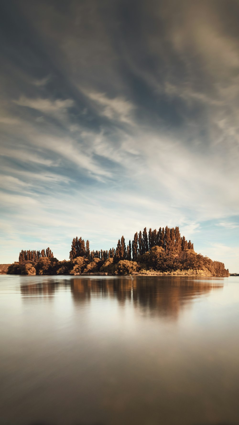 brown trees beside body of water under cloudy sky during daytime