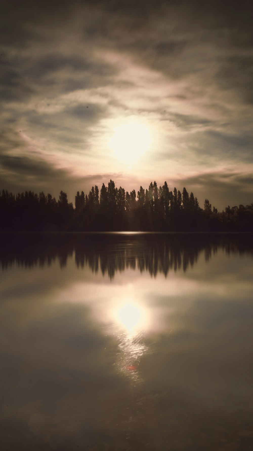 silhouette of trees near body of water during sunset