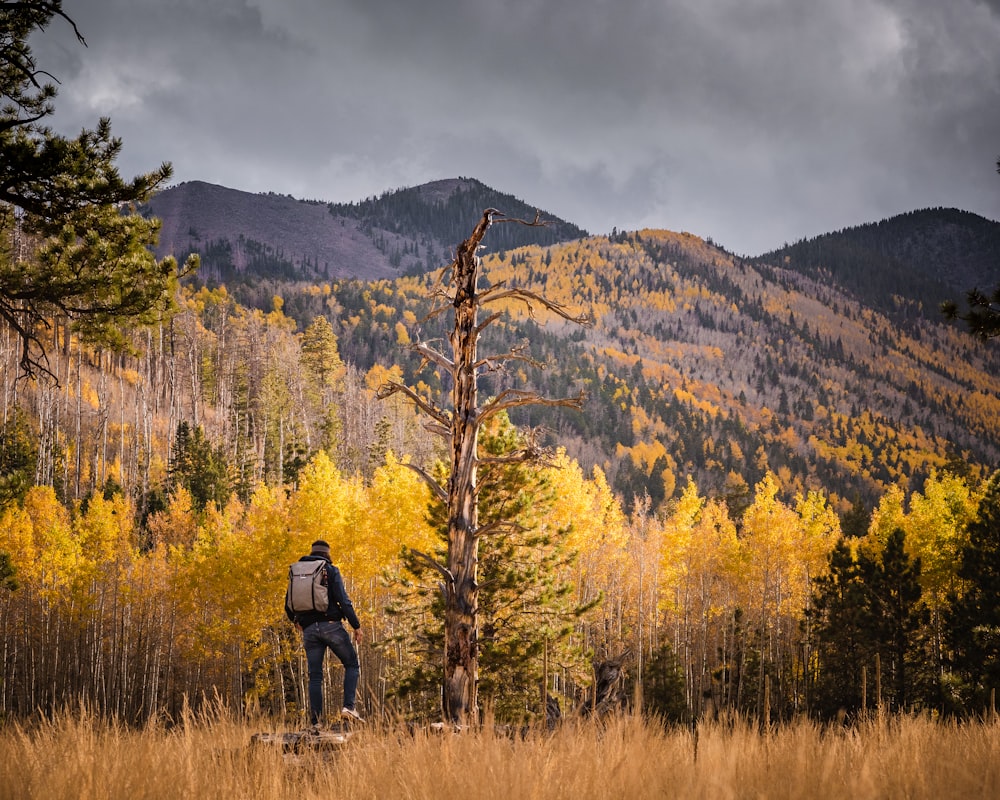 person in black jacket standing on brown grass field during daytime