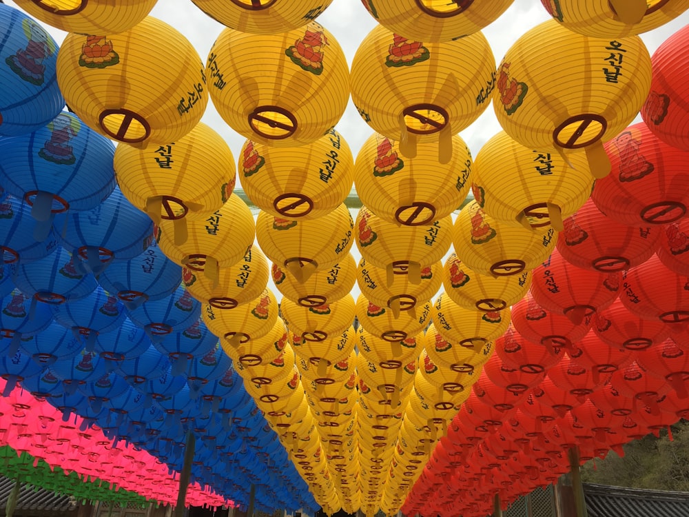 blue and red paper lanterns