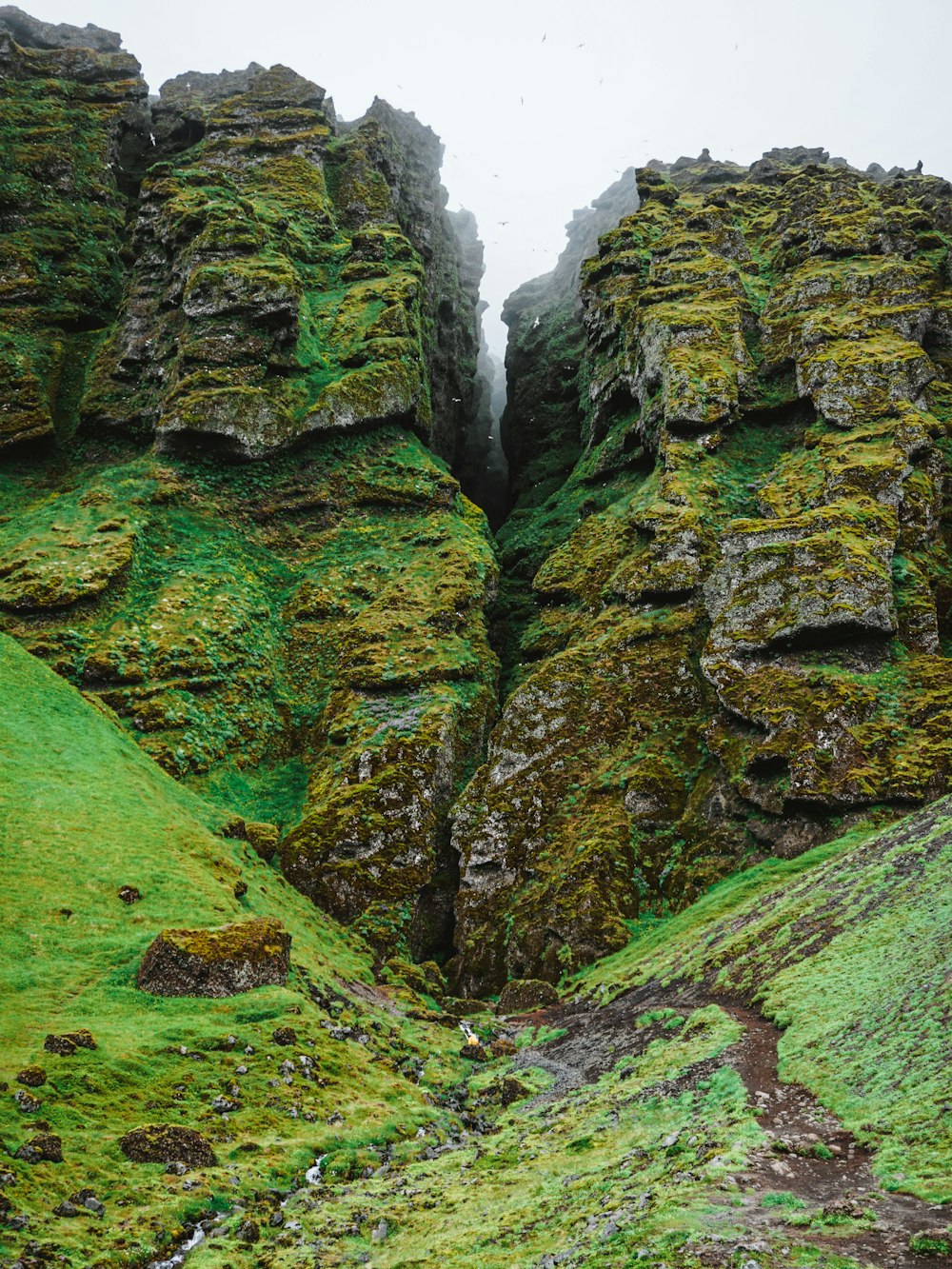 green moss on rocky mountain