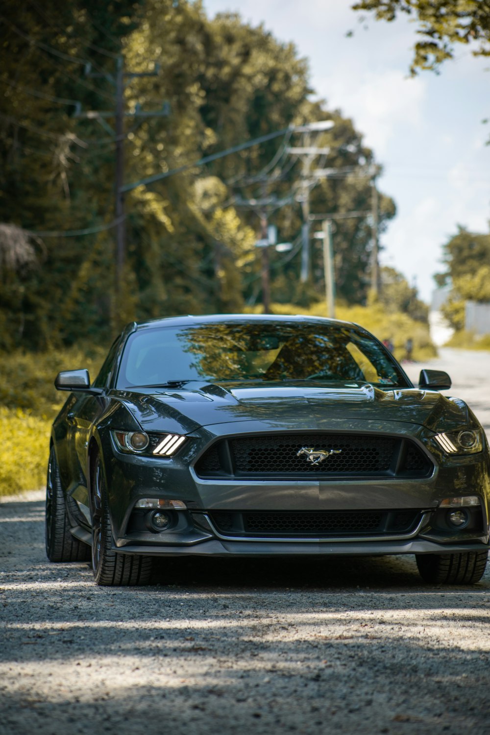 Mustang Gt Pictures | Download Free Images On Unsplash