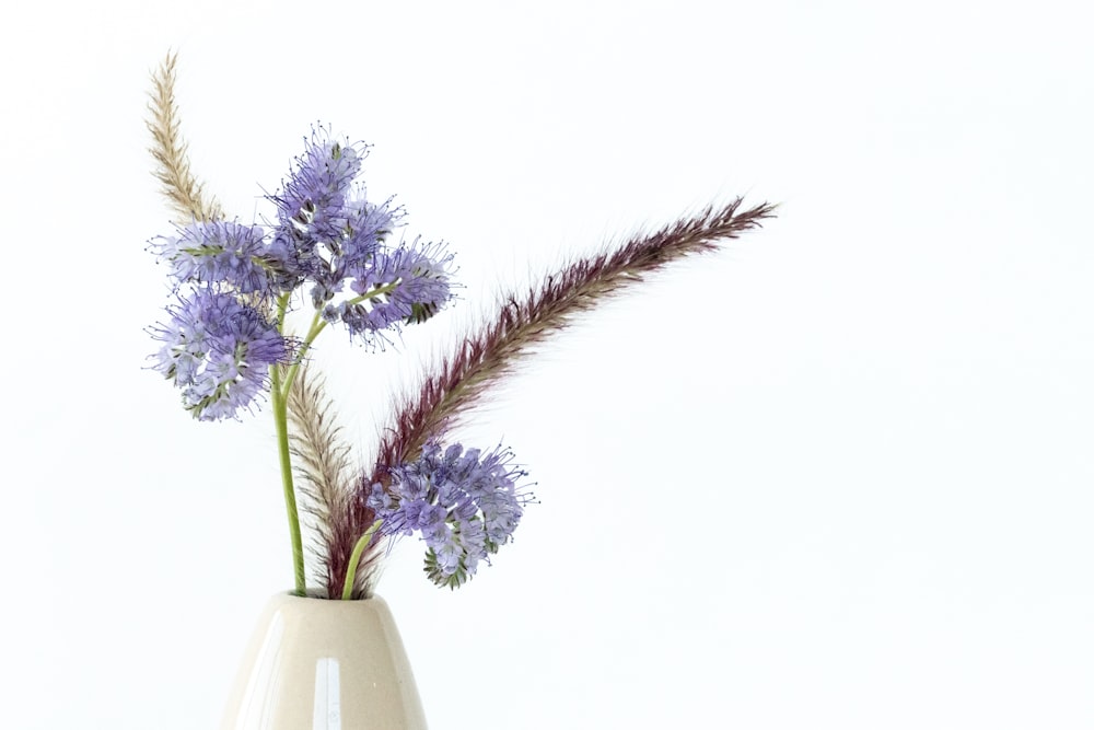 purple flowers in white ceramic vase