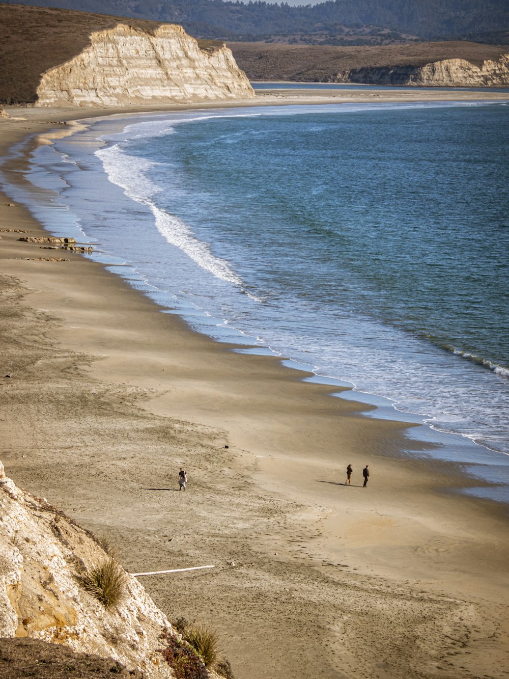 people on beach during daytime