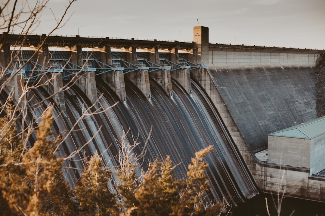 brown and white plant on water dam