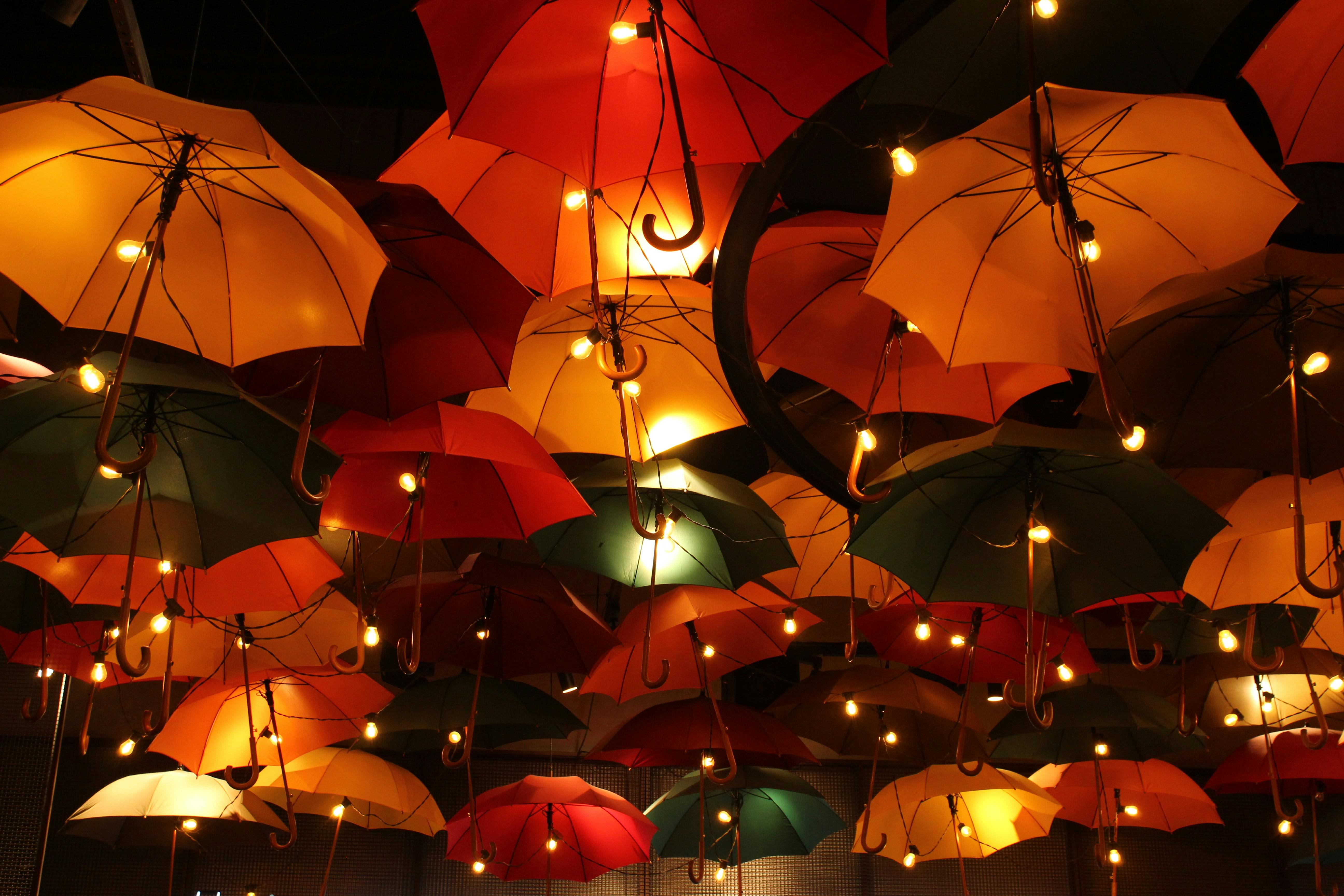 umbrellas ☂ 