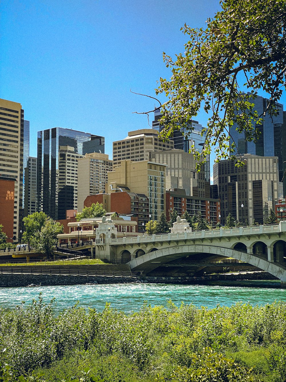 white bridge over river near high rise buildings during daytime