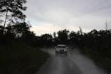 black suv on road between green trees during daytime