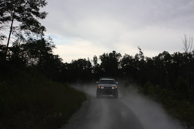 black suv on road between green trees during daytime