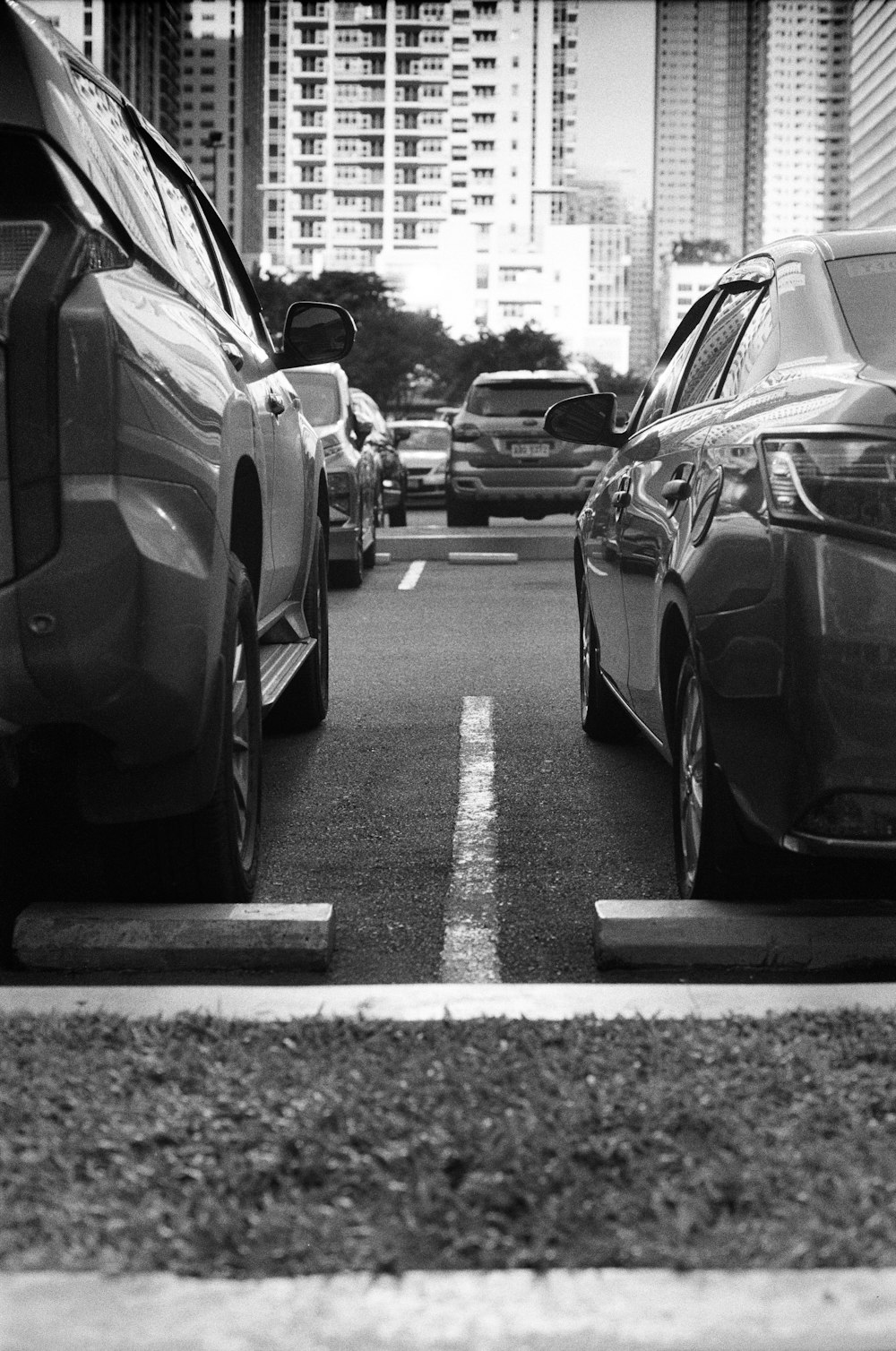 道路上の車のグレースケール写真