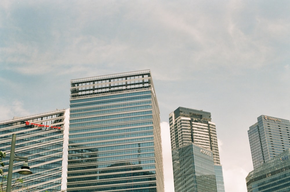 white and blue high rise building